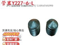 點(diǎn)擊查看詳細(xì)信息<br>標(biāo)題：英格索蘭隔膜泵配件管塞Y227-6-L 閱讀次數(shù)：188